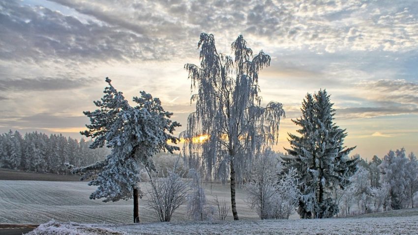 Winter, Sonnenaufgang, Frost, Rauhreif, Natur, Bäume.